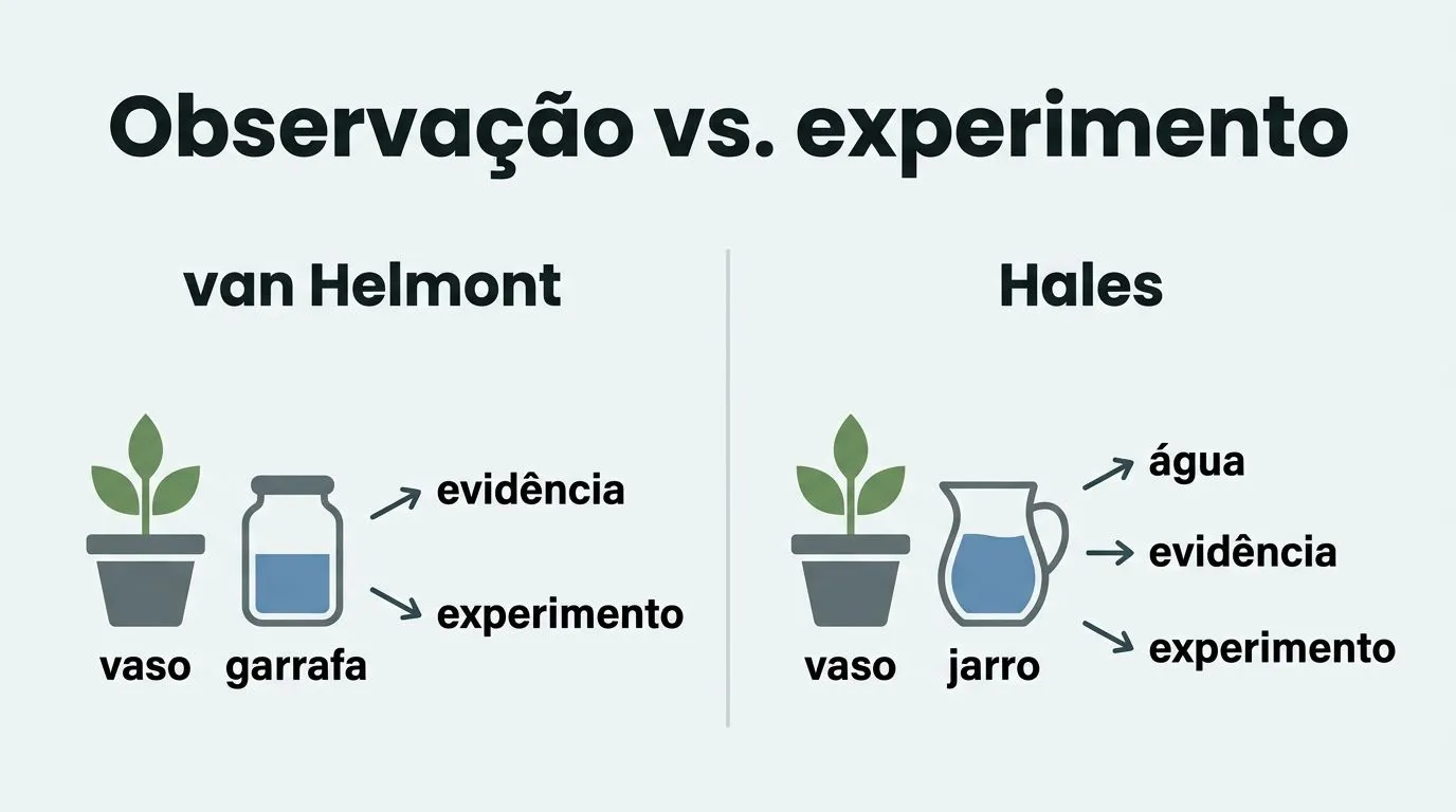 Comparativo visual mostrando van Helmont e o avanço para experimento na história da hidroponia.