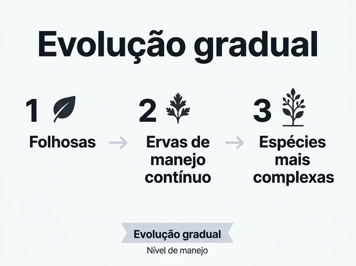 Diagrama em etapas mostrando como evoluir do primeiro cultivo de folhosas para ervas e depois espécies mais complexas na hidroponia doméstica.