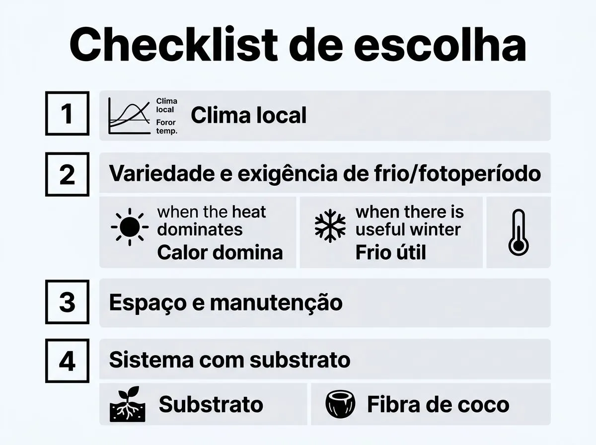 Checklist infográfico para escolher sistema, variedade e manejo do morango hidropônico com base no clima, frio útil e uso de substrato.