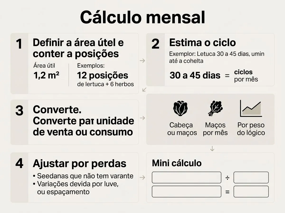 Infográfico com exemplo resolvido de cálculo de produção mensal e retorno em hidroponia caseira