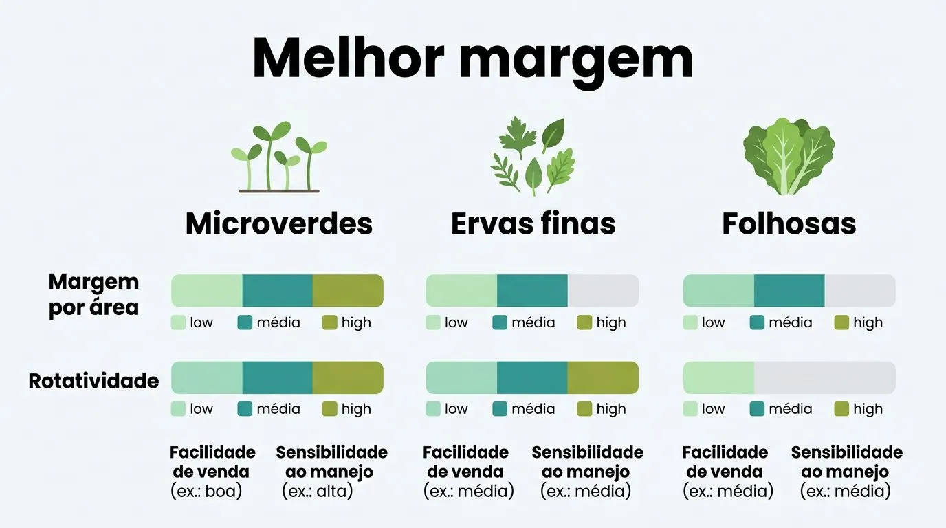 Comparativo de produtos hidropônicos (microverdes, ervas finas e folhosas) com foco em margem por área e rotatividade.