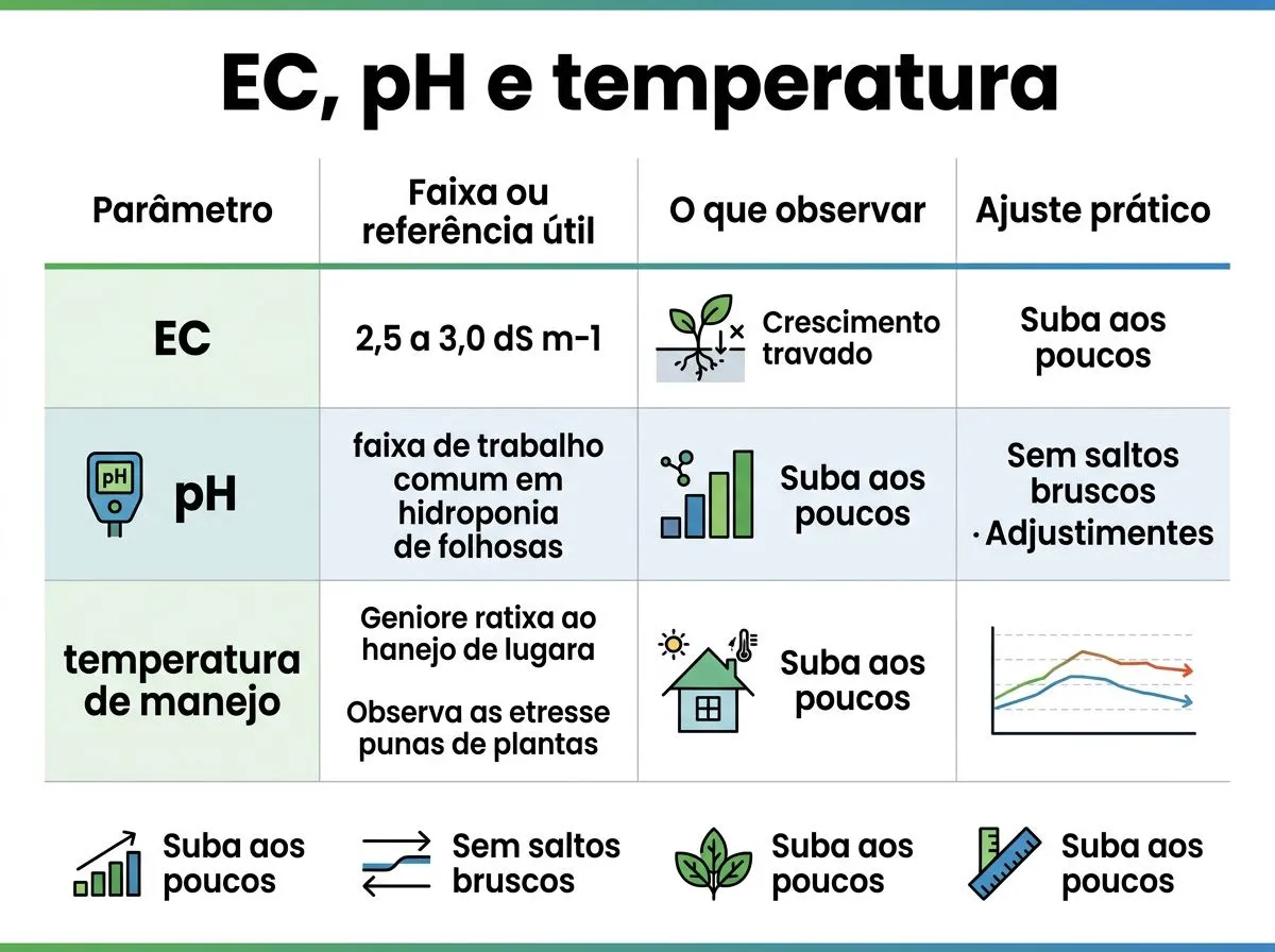 Infográfico com faixas e observações de EC, pH e temperatura para pak choi hidropônico em sistemas NFT ou DWC