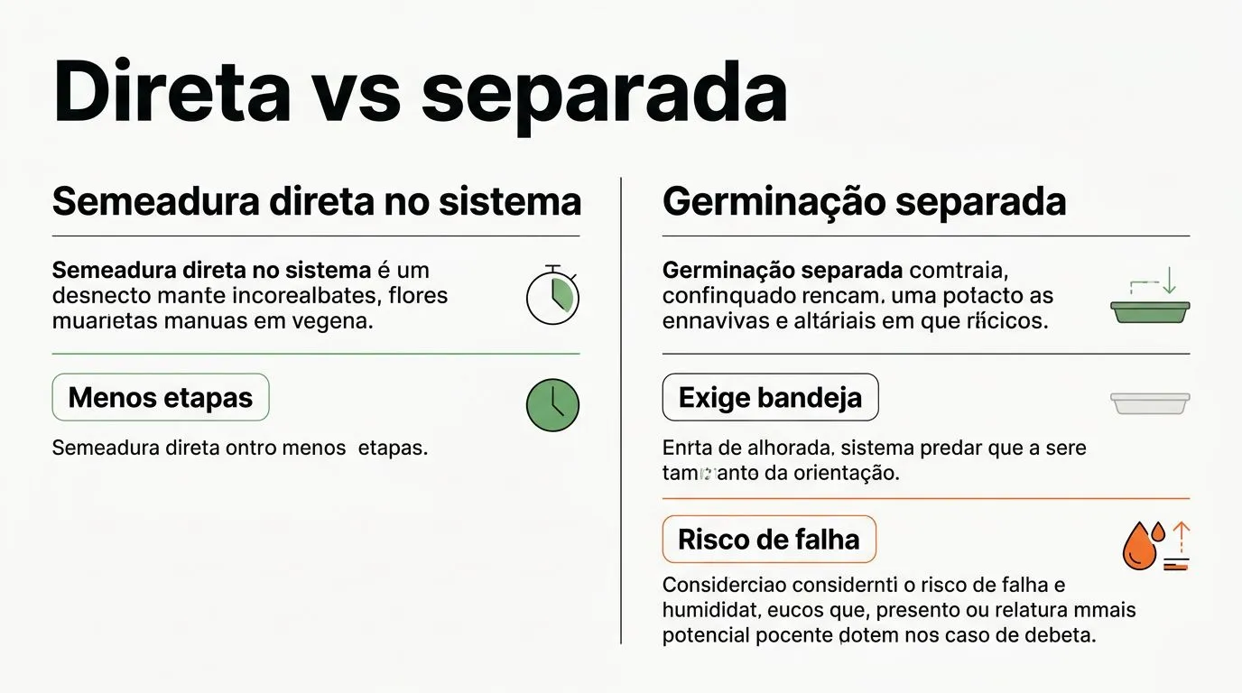 Comparativo entre semeadura direta e germinação separada na hidroponia.