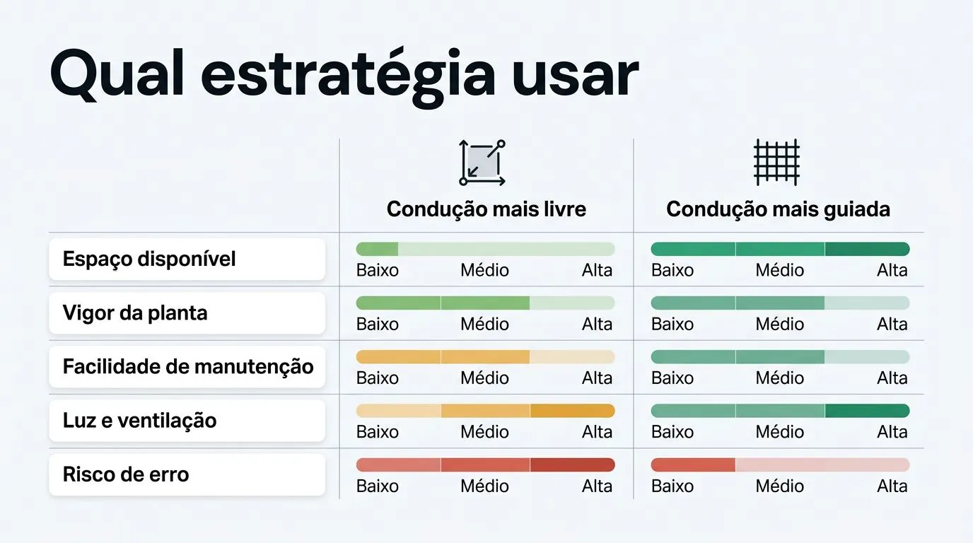 Comparativo de estratégias de condução para objetivos de cultivo na hidroponia.