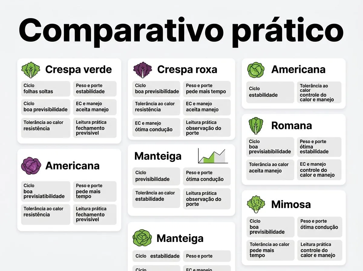 Infográfico com comparativo de variedades de alface na hidroponia: ciclo, peso, tolerância ao calor e EC