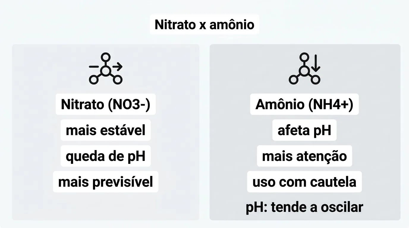 Infográfico comparando nitrato e amônio na solução nutritiva hidropônica, com foco em estabilidade e efeito no pH.