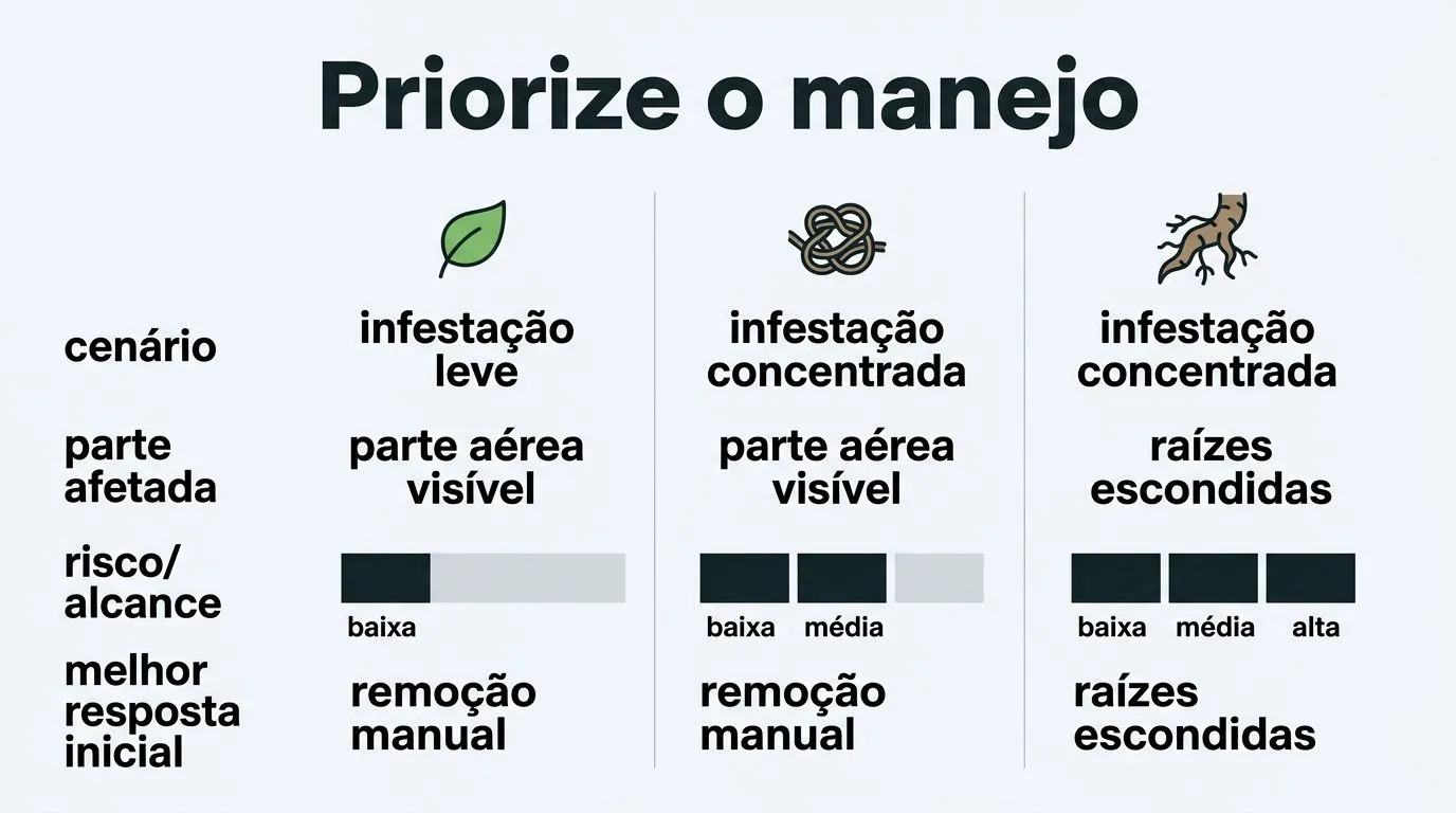 Comparativo por cenário para orientar o manejo inicial da cochonilha em hidroponia, relacionando parte afetada e resposta mais adequada.