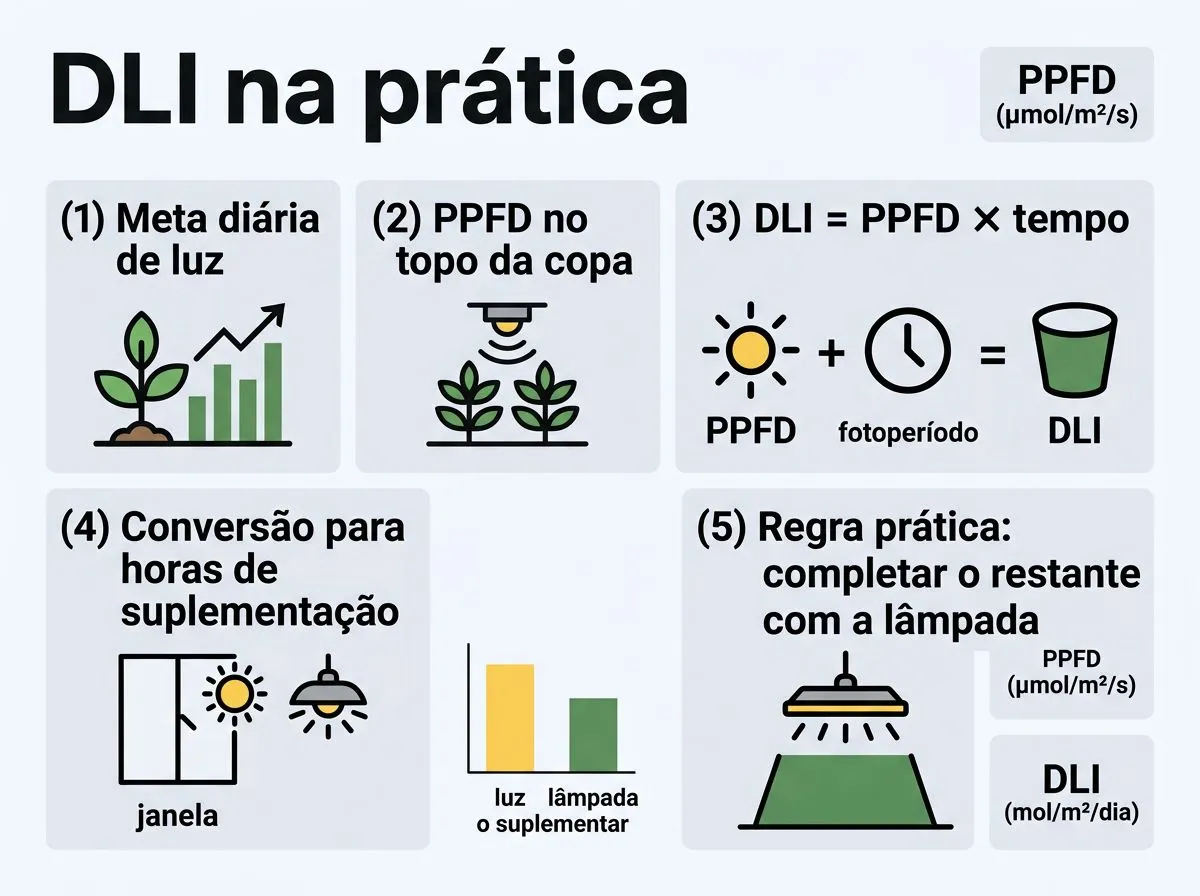 Infográfico com passos para calcular DLI e definir suplementação diária em hidroponia.